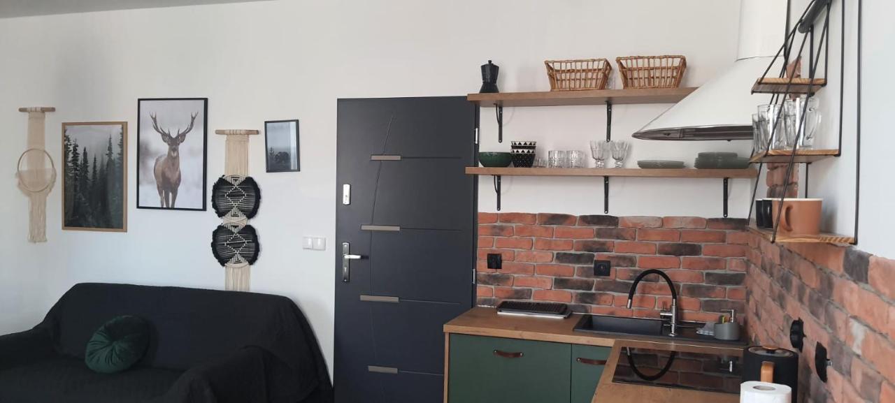 Apartamenty Deptak - w centrum Karpacza, parking w cenie! Zewnętrze zdjęcie